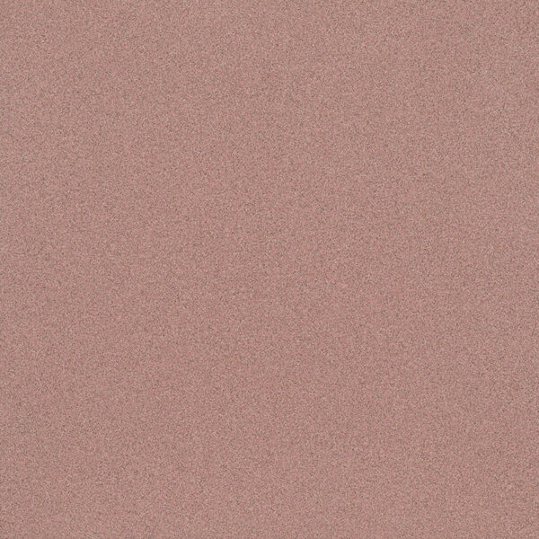 Micron Coral POLIDO 60x60 Eliane