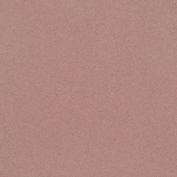 Micron Coral RA 60x60 Eliane