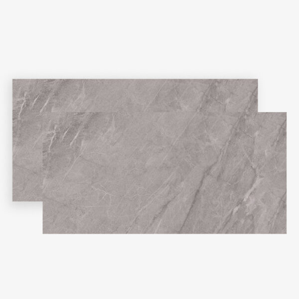 PIETRA DI SAVOIE GR ACT 60x120