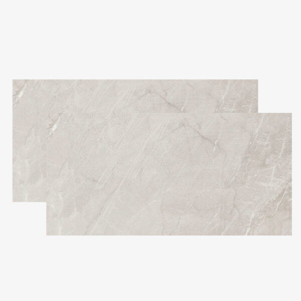 PIETRA DI SAVOIE SGR POL 60x120