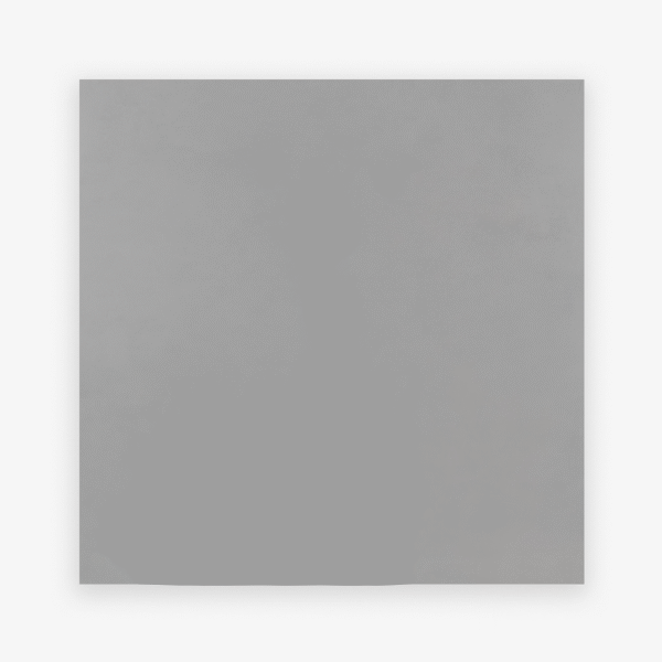 PP PRO CONCRET ACETINADO 60X60