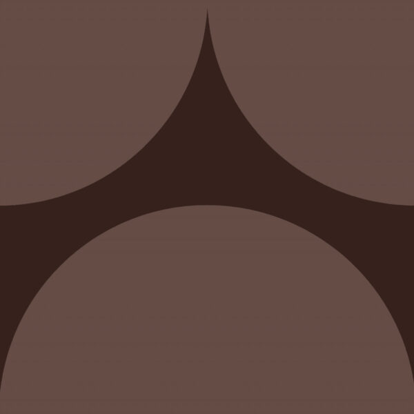 CAROL GAY BOLA CAPUCCINO ACETINADO 19X19